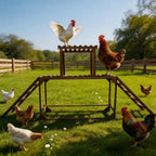 Solid Wood Chicken Climbing Ladder Activity