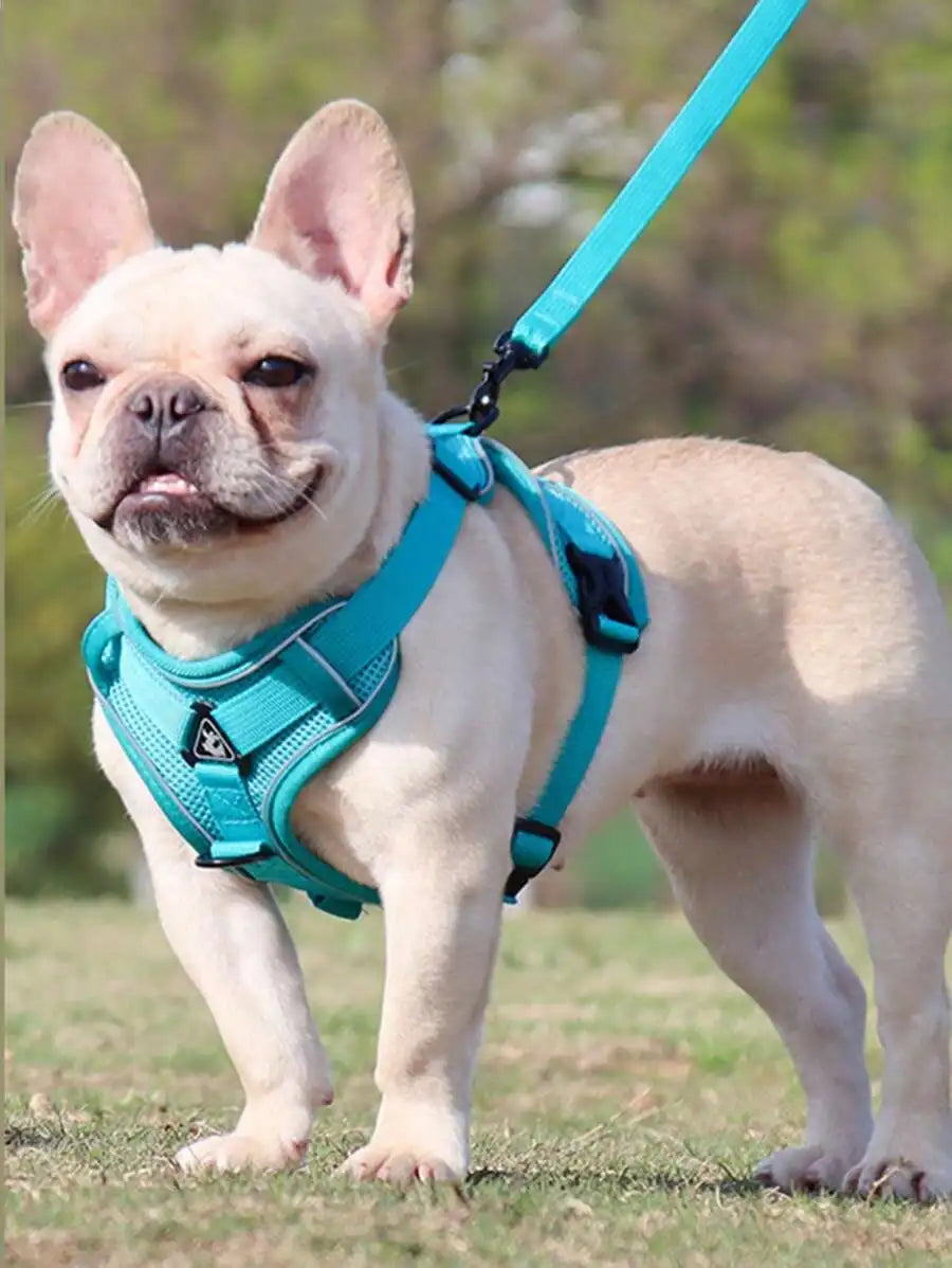 Reflective Pet Harness And Leash Set