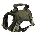 Harness And Adjustable Leashes For  Small Dog And Cat Training