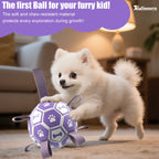 Dog Soccer Ball with Straps, Puppy Birthday Gifts,