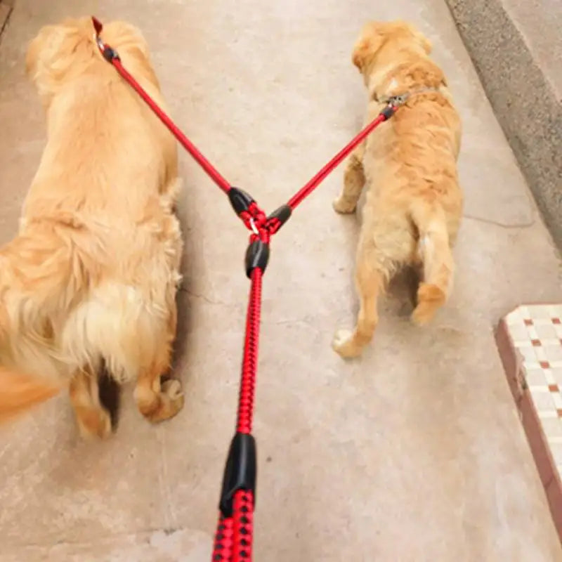 Extended Double Dogs Training Leash
