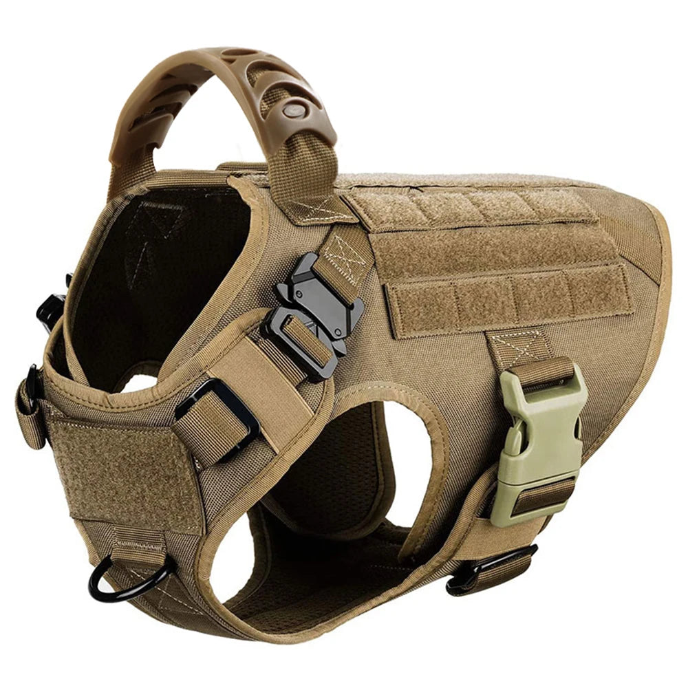 Large Dog Harness and Leash for Training, Walking