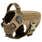 Large Dog Harness and Leash for Training, Walking