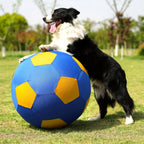 Dogs, Horses, Ball with Explosion-Proof Cover