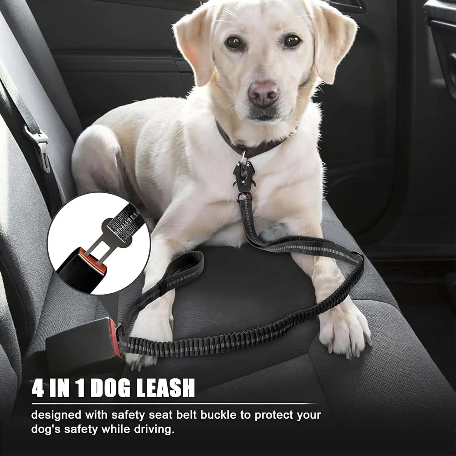 Reflective Shock Absorbing Pet Leashes with Car Seatbelt