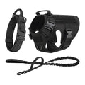 German Shepherd Training  Harness Collar Leash