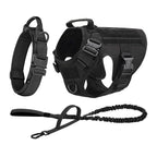 German Shepherd Training  Harness Collar Leash