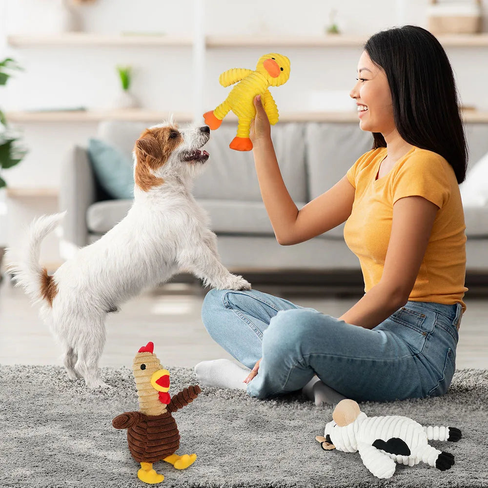 5 Pack Dog Plush Squeaky Toys
