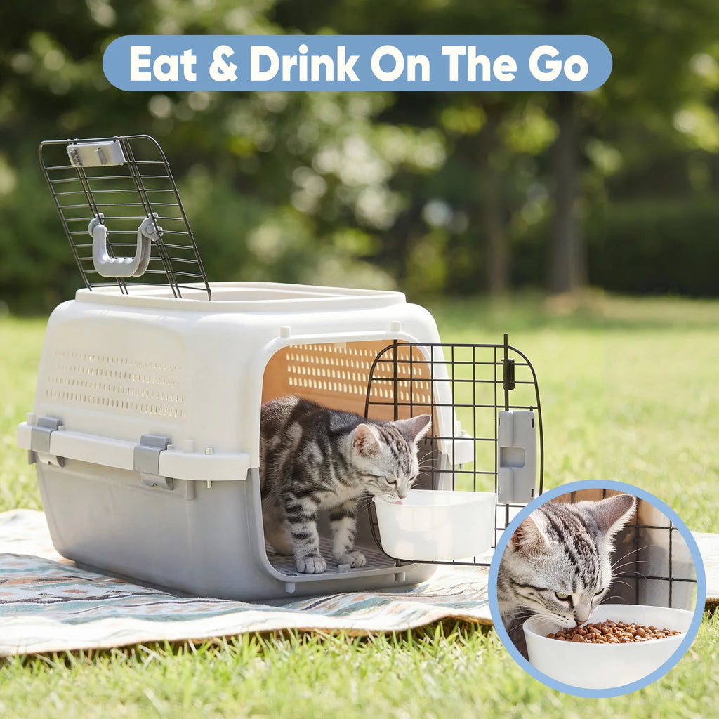 Carrier for Small Dogs, Cats