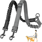 Double Leashes for Training Small to Large Dogs