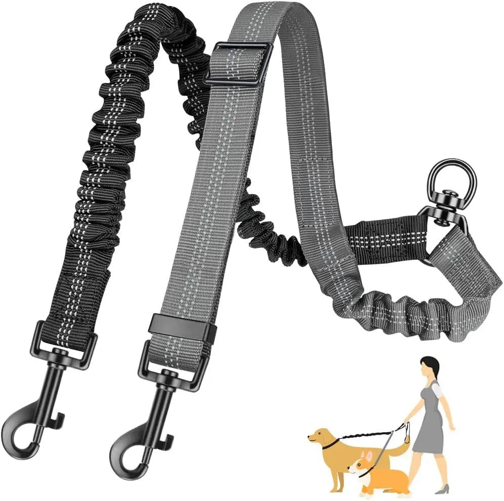Double Leashes for Training Small to Large Dogs