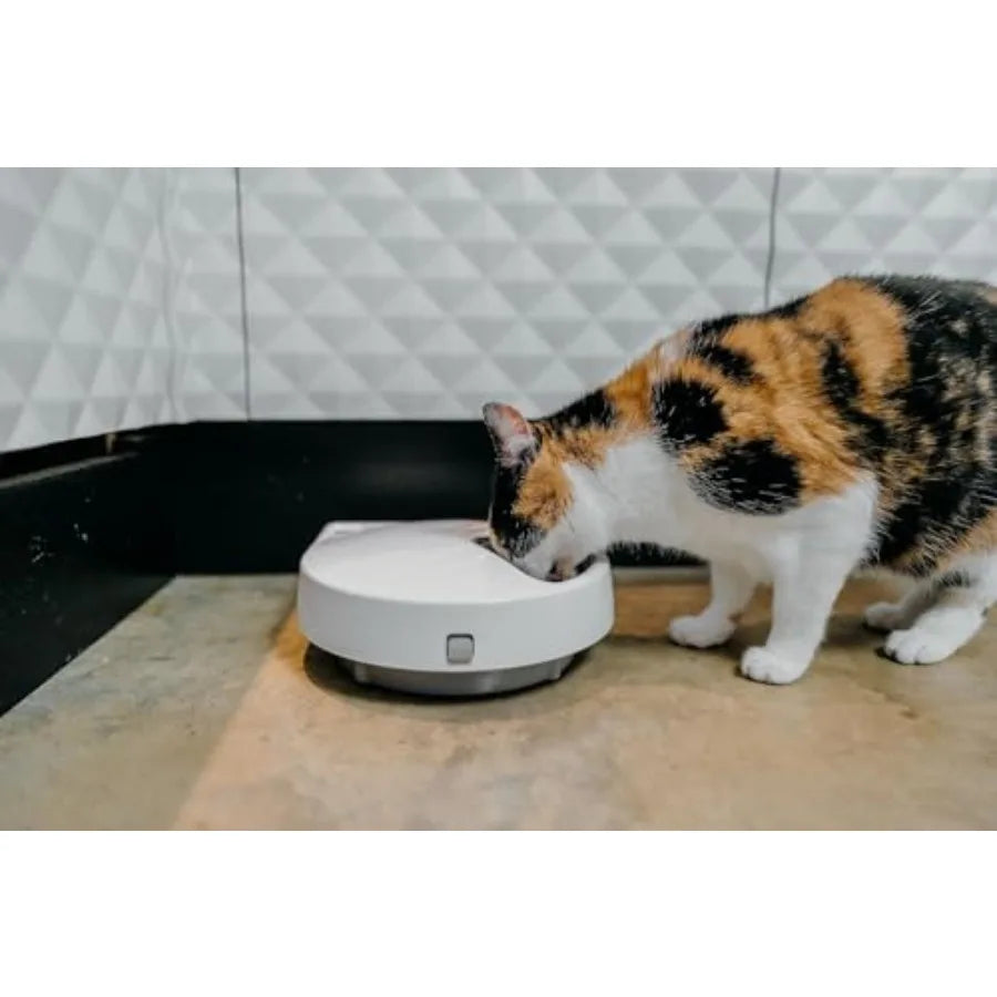 Automatic, Digital Pet Feeder with Timer-Controlled