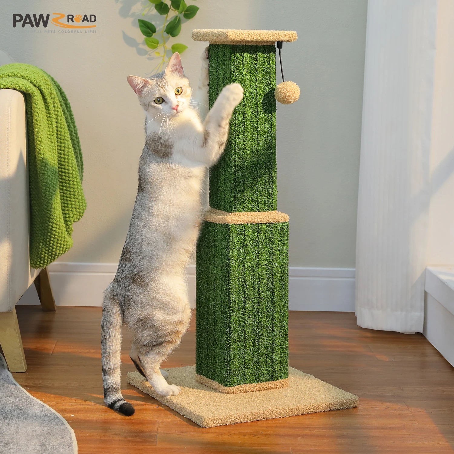 Large Cat Scratching Post for Indoor
