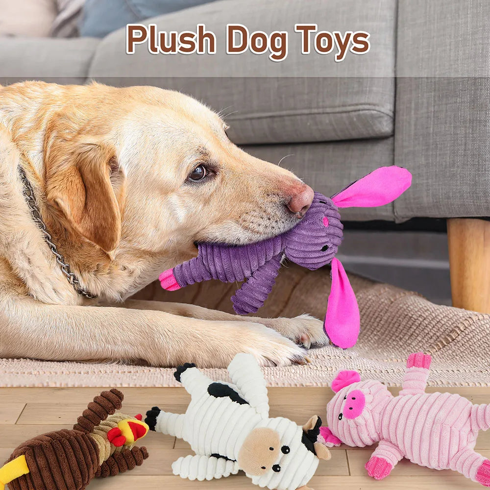 5 Pack Dog Plush Squeaky Toys