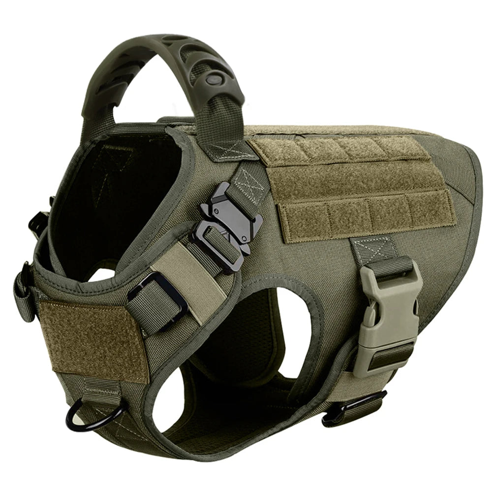 Large Dog Harness and Leash for Training, Walking