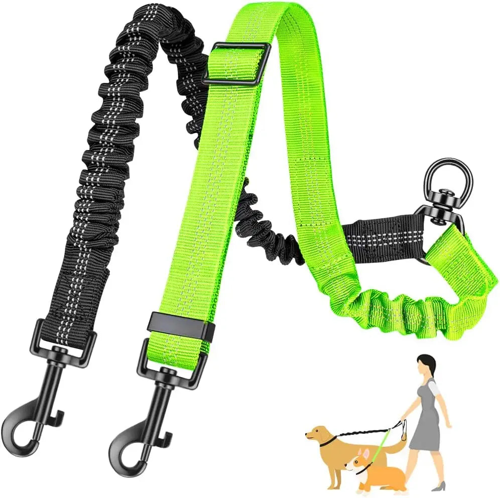 Double Leashes for Training Small to Large Dogs